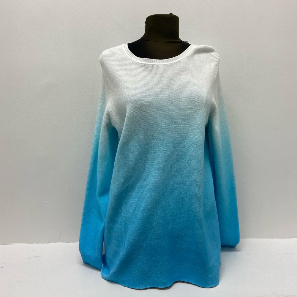 Blue & White Ombré Sweater